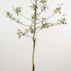 Goedkope Tuin Kunst Winkel -Goedkope Tuin Kunst Winkel 20080312140007 5