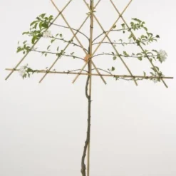 Goedkope Tuin Kunst Winkel -Goedkope Tuin Kunst Winkel 20080312151002 1