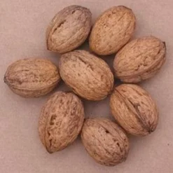 Goedkope Tuin Kunst Winkel -Goedkope Tuin Kunst Winkel 20080516144112 4